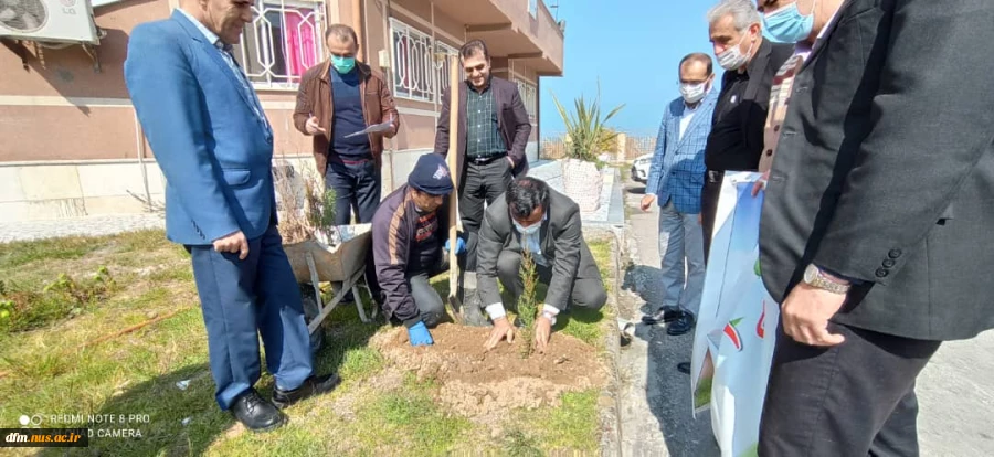 کاشت چند اصله نهال توسط کارکنان دانشکده  5