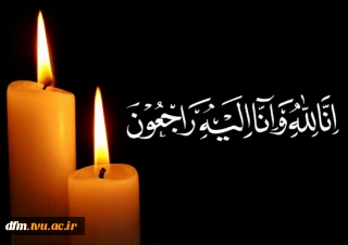 جناب آقای پرفسور جهانشاهی