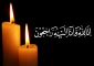 جناب آقای پرفسور جهانشاهی