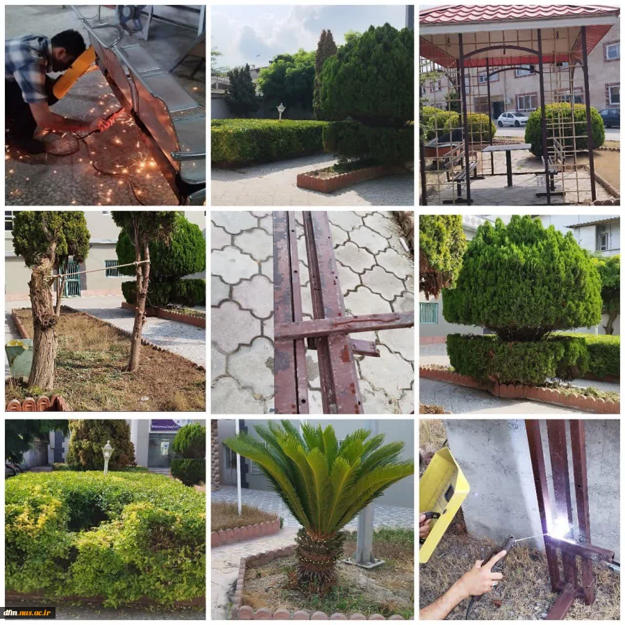 زیباسازی فضای سبز دانشکده 2