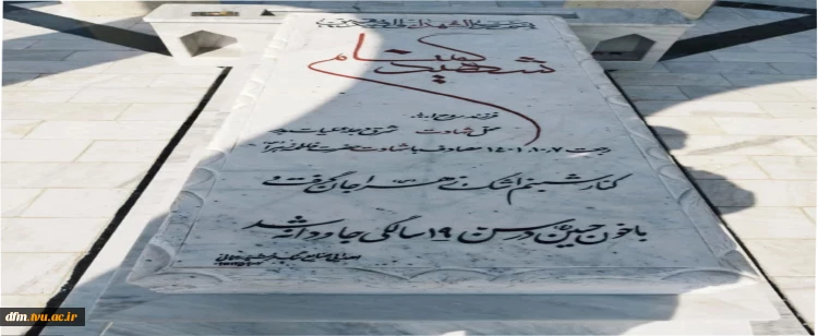 شهید گمنام سلام خوش…

اومدی مسافر من خسته نباشی پهلون