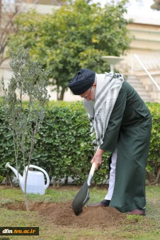 ۱۵ اسفند روز درختکاریه..