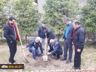 کاشت چند اصله نهال به یاد سیدالشهدای انقلاب اسلامی 3