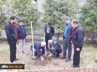 کاشت چند اصله نهال به یاد سیدالشهدای انقلاب اسلامی 4